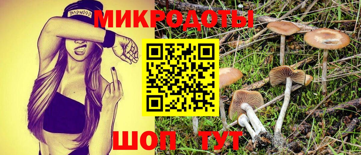 Псилоцибиновые грибы GOLDEN TEACHER Благовещенск
