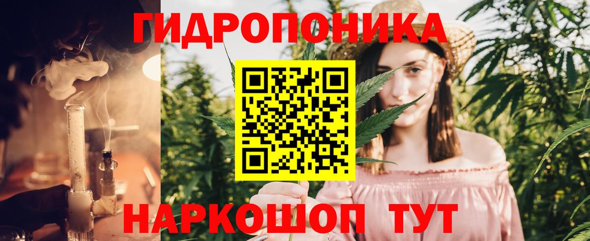 Каннабис тримм  Канабис план  Вход с VPN  Благовещенск 